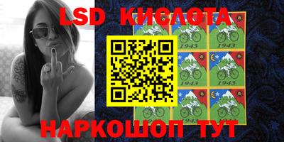 бошки Сланцы