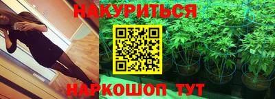 бошки Сланцы