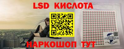 бошки Сланцы